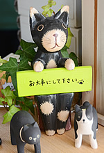 犬と猫
