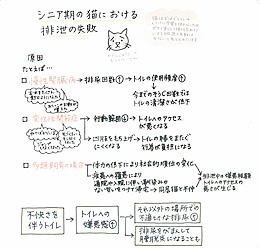 シニア期の猫における排泄の失敗