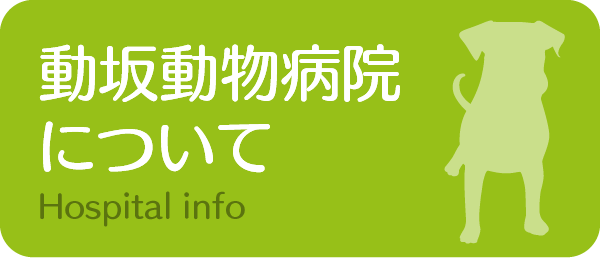 動坂動物病院について